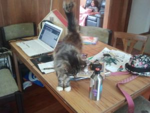 Cassie's writing desk.